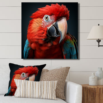 Red Parrot portrait photo - Parrot Wall Art Prints